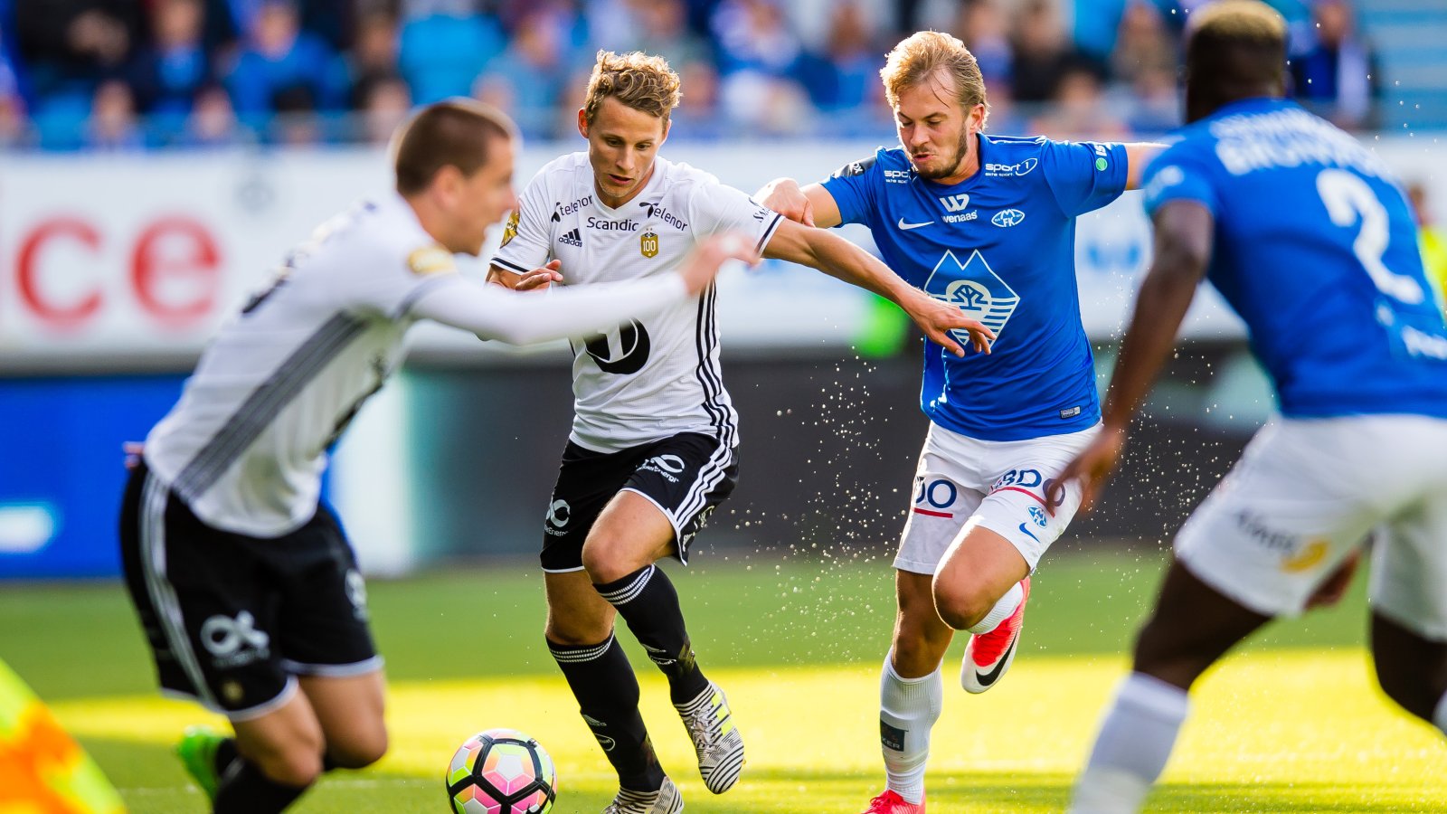 Molde Rosenborg