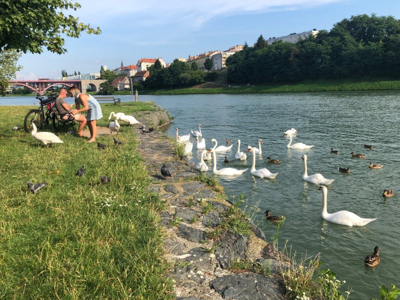 Spillerhotellet ligger rett ved elva Drava i sentrum av Maribor.